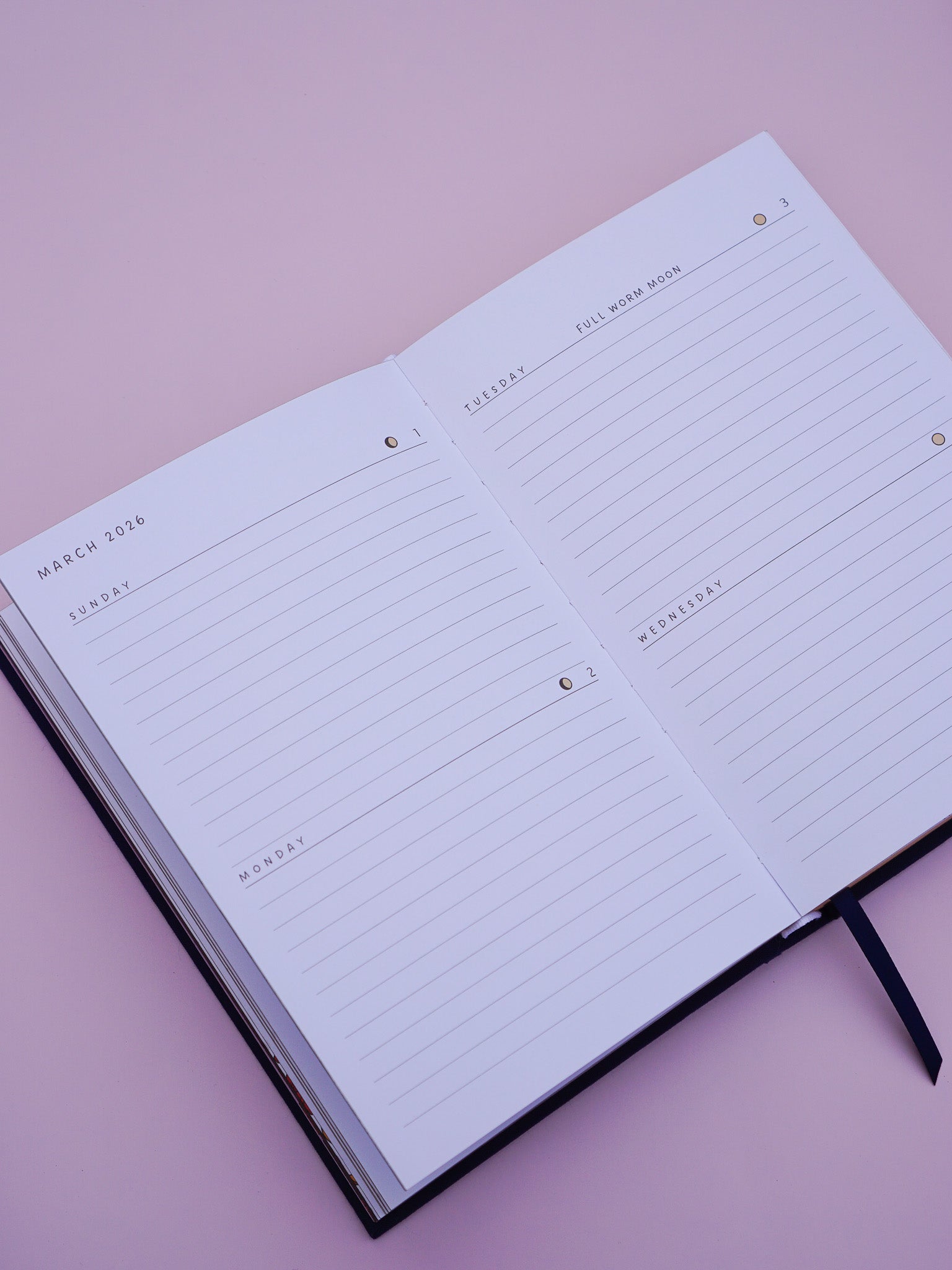 Moon Journal - 2026 Planner- Vintage green edition