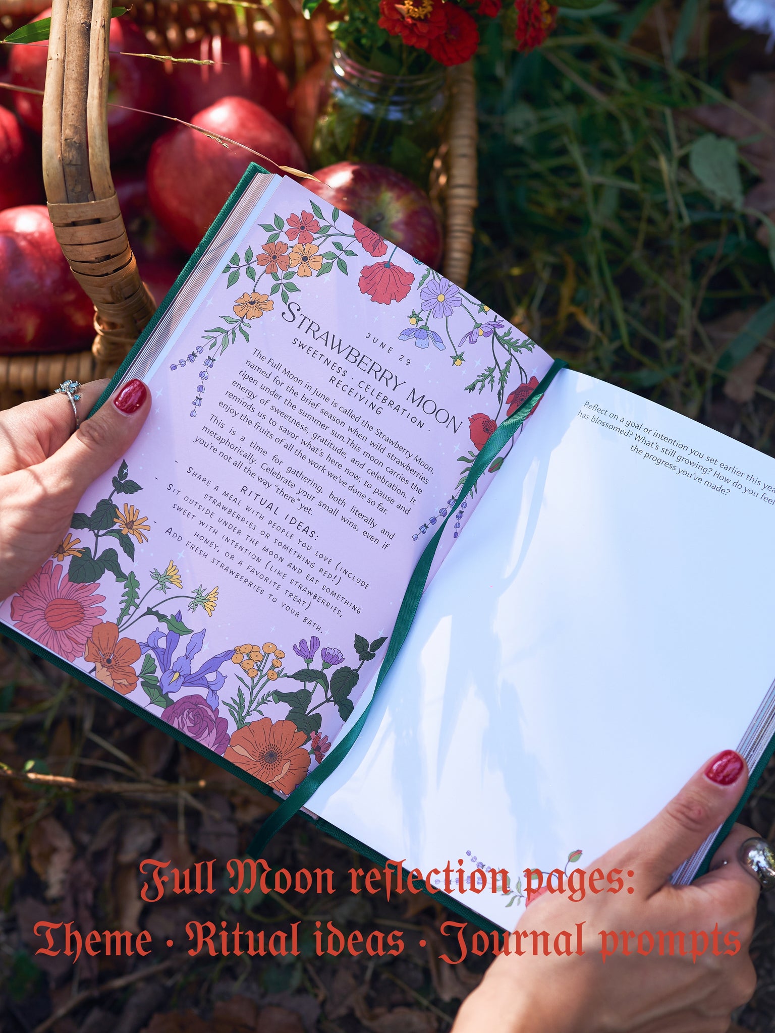 Moon Journal - 2026 Planner- Vintage green edition