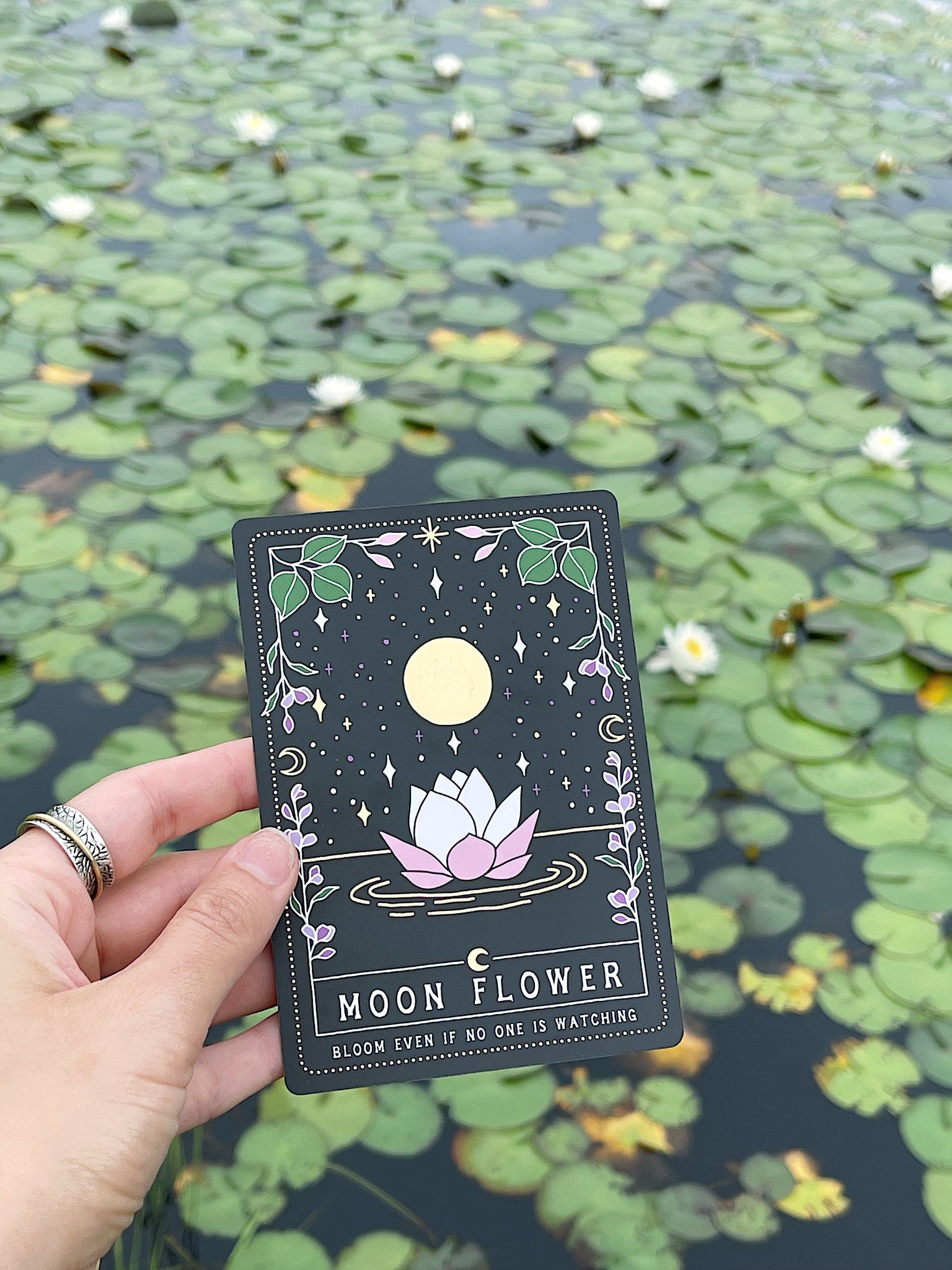 Moon Witch Oracle Deck PREORDER